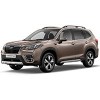 forester4